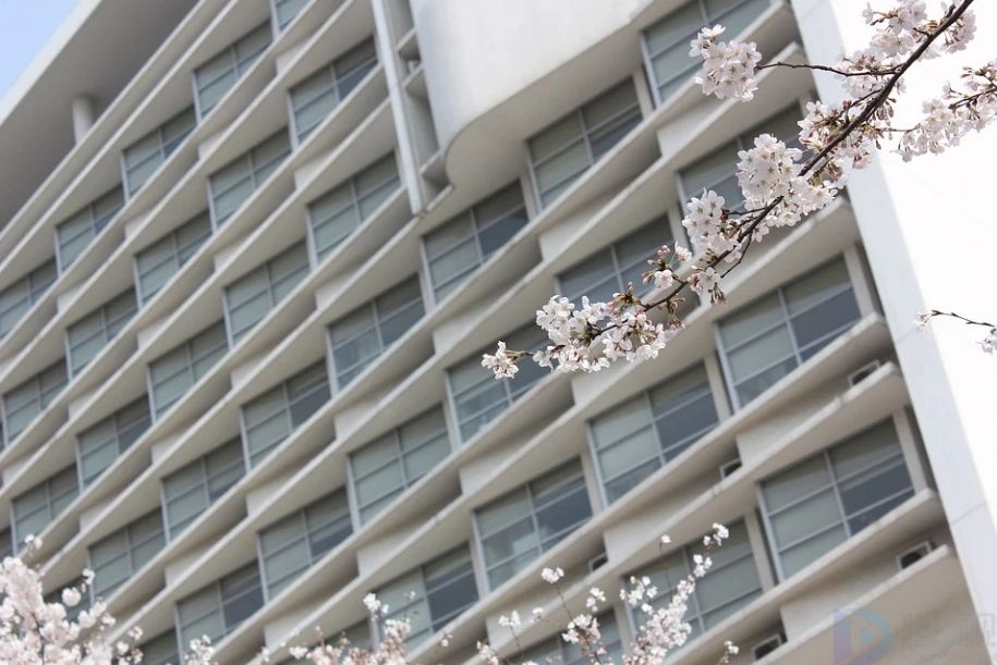 上海知名大学排行