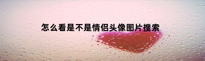 怎么看是不是情侣头像图片搜索(百度识图扫一扫情侣头像)