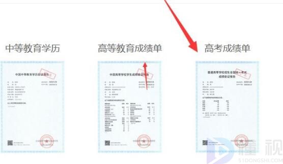 学信网成绩单在哪儿查询电子版