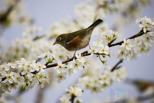春夏秋冬对应的月份(春夏秋冬对应的月份英语)