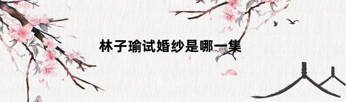 林子瑜试婚纱是哪一集(林子渝是卧底吗)