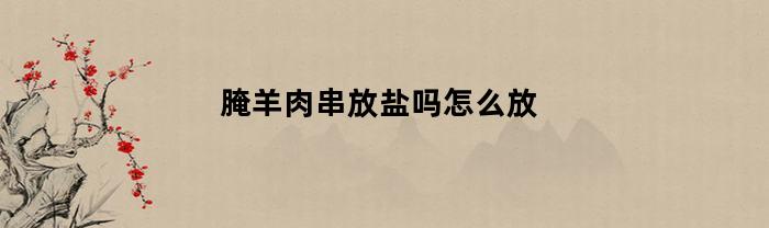 腌羊肉串放盐吗怎么放(腌羊肉串用放盐吗)