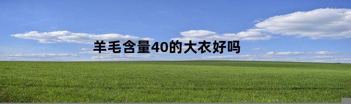 羊毛含量40的大衣好吗(羊毛含量30的大衣好吗)