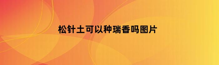 松针土可以种瑞香吗图片(松针土能种什么花)