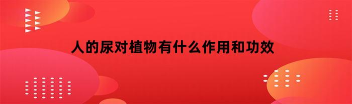 人的尿对植物有什么作用和功效(人的尿液是植物的肥料吗)