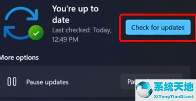 windows摄像头打不开(win11摄像头无法打开)