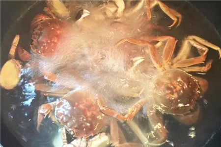 绿萝养水里可以活多久