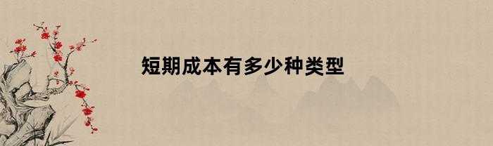 短期成本有多少种类型(短期成本分为哪几种)