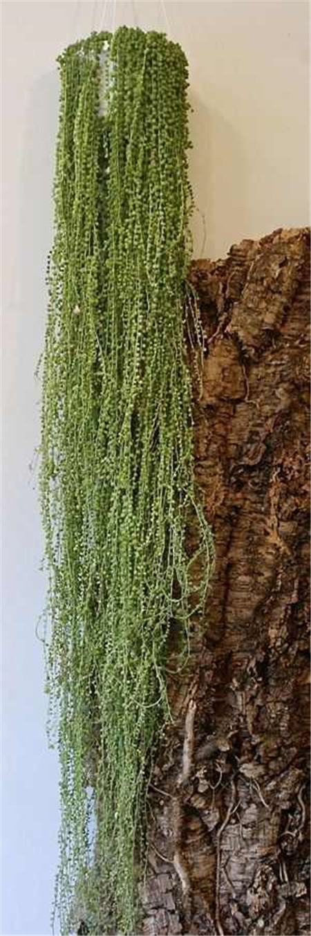 把花吊起来变干花