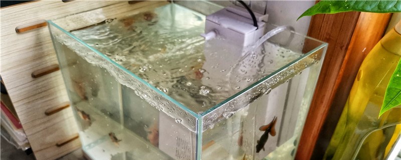 60的鱼缸多少升水60的鱼缸用什么过滤好(60的鱼缸是多少升水)