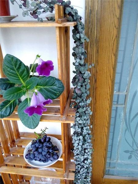 把花吊起来变干花