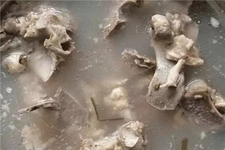 绿萝养水里可以活多久