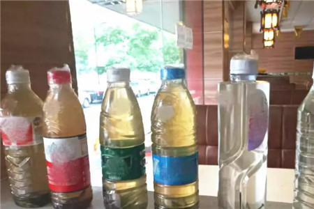 绿萝养水里可以活多久