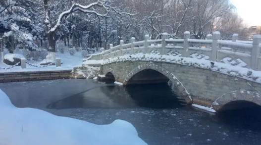 深圳这几年下过雪吗