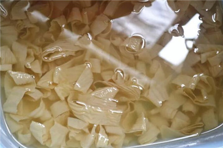 绿萝养水里可以活多久