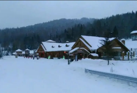 2024年深圳冬天会下雪吗深圳为什么没有雪(深圳这几年下过雪吗)