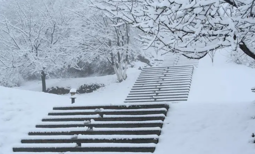 深圳这几年下过雪吗
