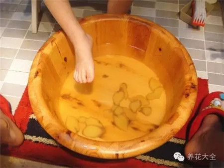 种姜用什么做底肥料好