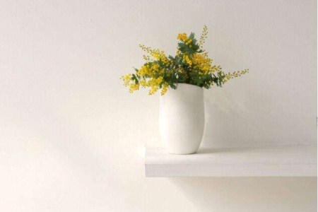 米兰花可以放卧室养吗