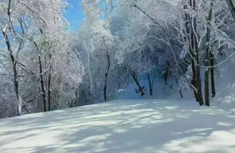 河南2022年冬天冷吗