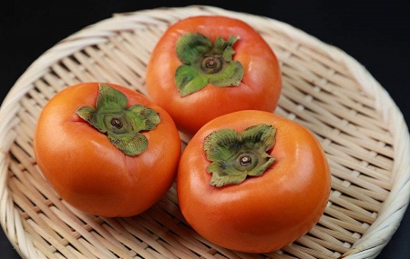 柿子树种植方法(柿子树种植方法图解)