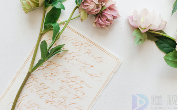 家庭住房出租合同书(家庭住房出租一间合同怎样写)