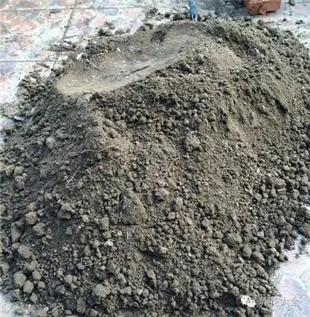 种姜用什么做底肥料好