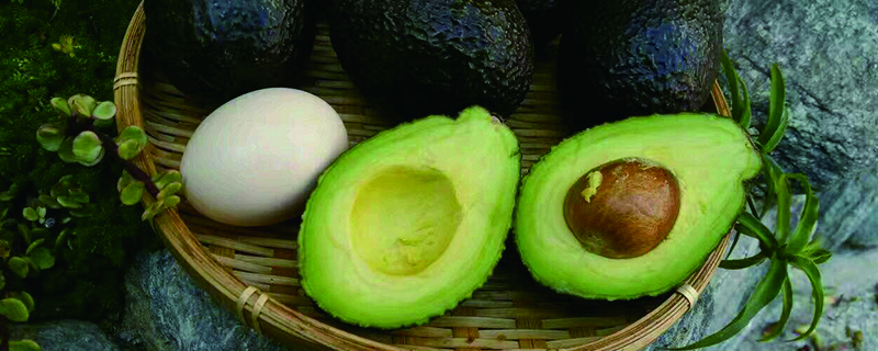 牛油果在室内能养殖吗盆栽牛油果的养殖方法(牛油果树盆栽能室外暴晒吗)