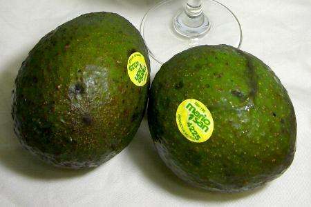 牛油果树盆栽能室外暴晒吗