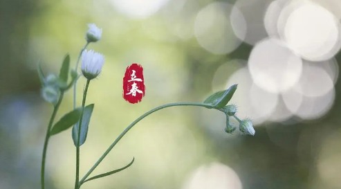 2034年立春是几月几号