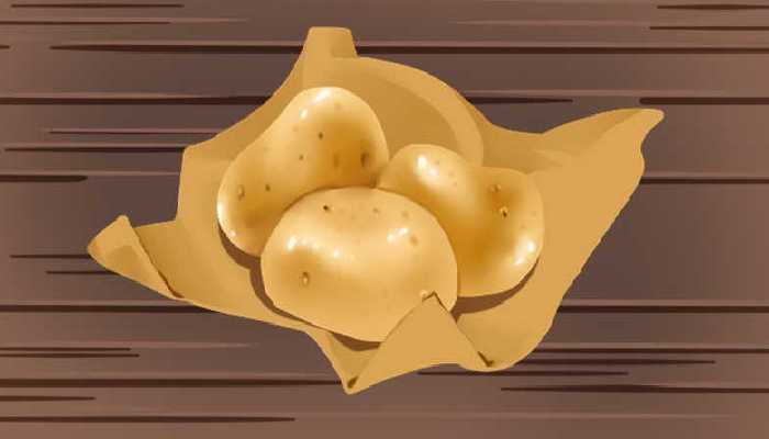 土豆冬天怎么种植