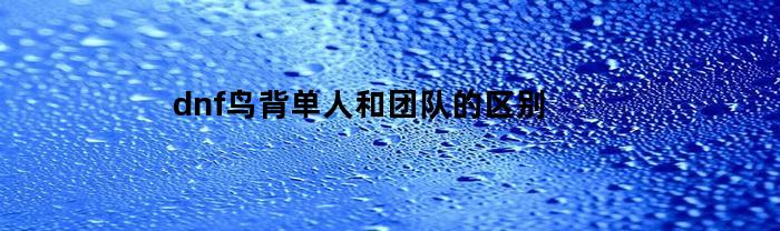dnf鸟背单人和团队的区别(dnf鸟背团本怎么打)