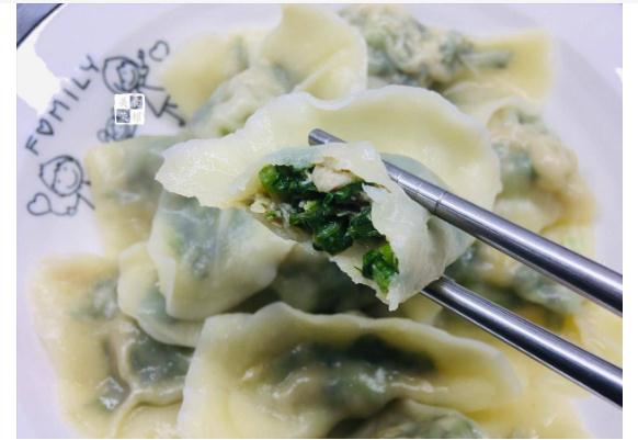 茼蒿可以包饺子吗茼蒿馅的饺子馅怎么做(茼蒿能做饺子馅吗?)