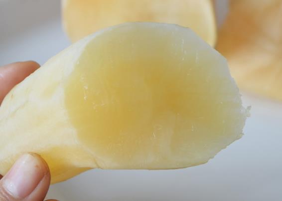 晚上可以吃雪莲果吗睡前吃雪莲果会发胖吗(晚上可以吃雪莲果吗?)