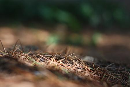 怎样制作盆栽花土