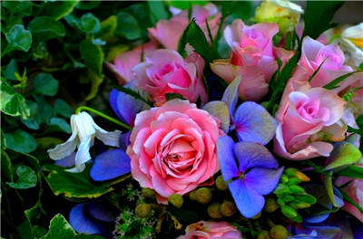 阳台放什么植物挡煞气