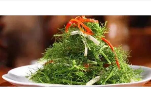 做凉拌茴香用开水焯吗茴香牛肉馅饼怎么做(茴香能凉拌吗)