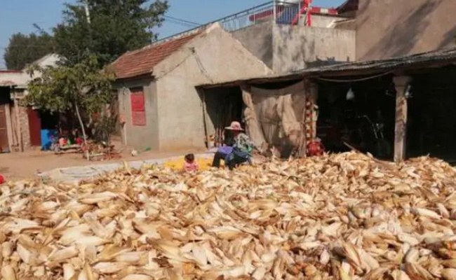 山西29人死亡事故调查结果