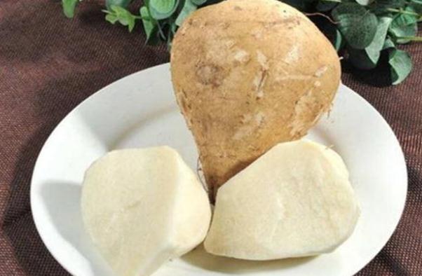 豆薯的作用及功效作用