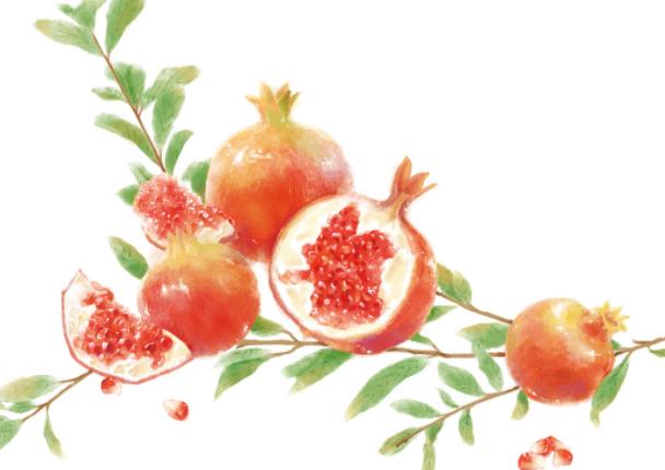 软籽石榴吃了会便秘吗软籽石榴一天吃多少(软籽石榴吃多了会胖吗)