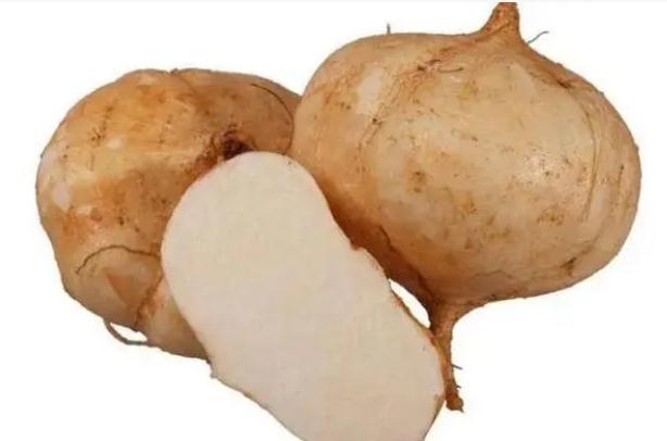 豆薯有哪些功效与作用豆薯不宜与哪些食物同食(豆薯的作用及功效作用)