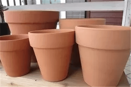 多肉换盆容易死吗