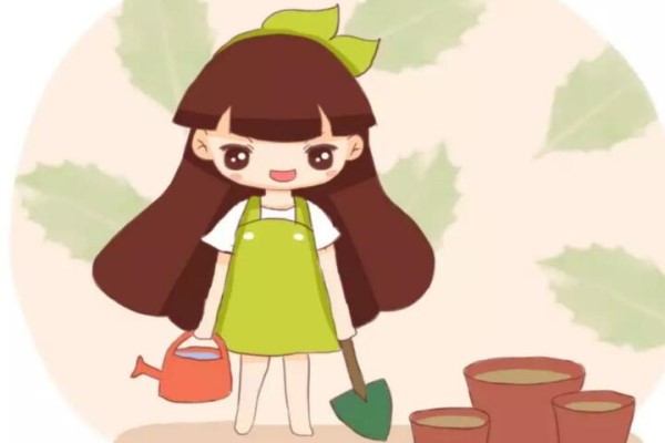 秋天窗台种盆它一开100天爆起来拦不住！(秋天阳台适合种什么植物)