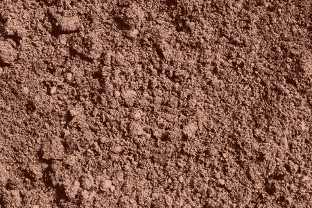 朝天椒的种植方法的种植技术