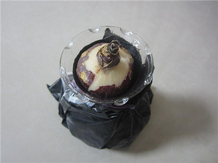 风信子水培方法视频