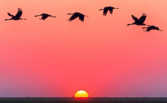 我曾经捡到过一束光