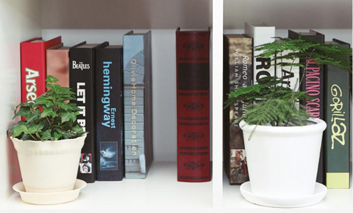 想成为养花高手这些窍门你应该知道吗