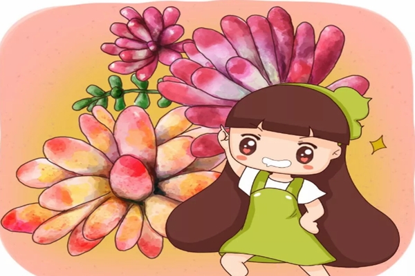 给多肉换盆犯了这9个错误立马死翘翘！(多肉换盆容易死吗)