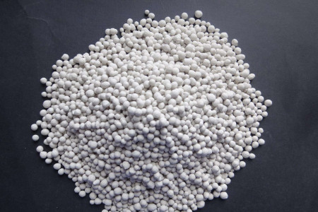 星王子扦插的方法图解