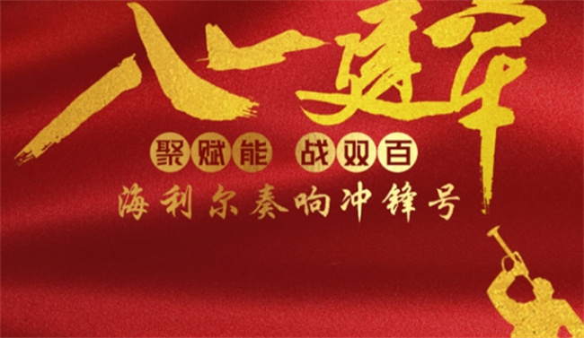 农业局庆八一建军节的活动方案